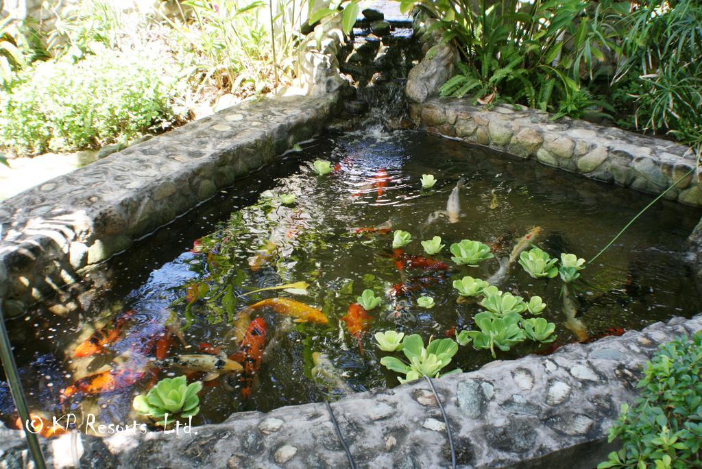 Enchanted Waters Tobago Buccoo Екстериор снимка